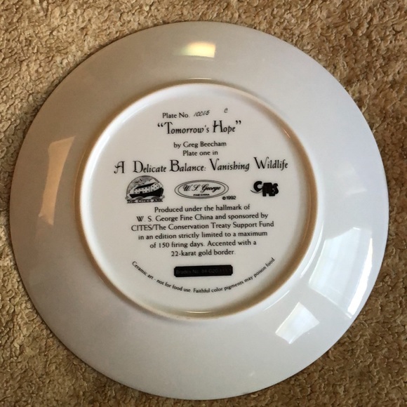 “Tomorrow’s Hope” Tiger Collectible - Picture 2 of 5